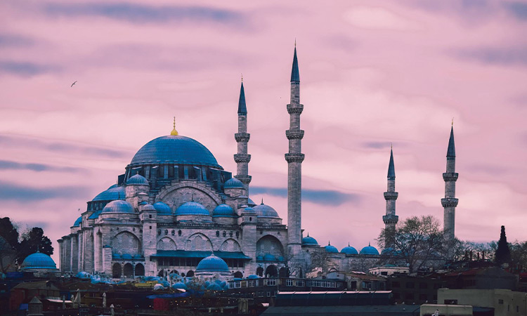 La basilique Sainte-Sophie et La Mosquée Bleue - excursion demi-journée à Istanbul
