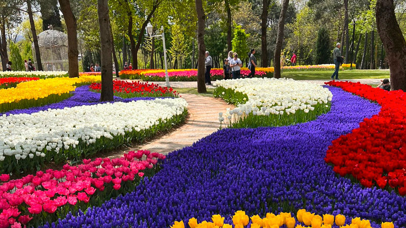 En avril c'est le Festival de la Tulipe à Istanbul