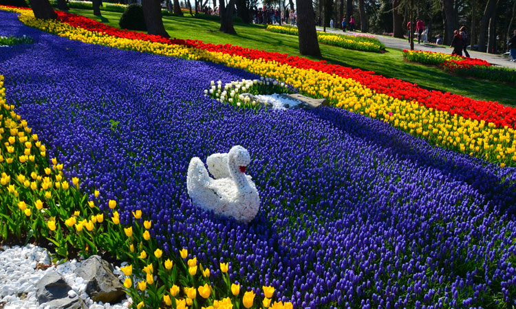 Le Festival de Tulipe d’Istanbul