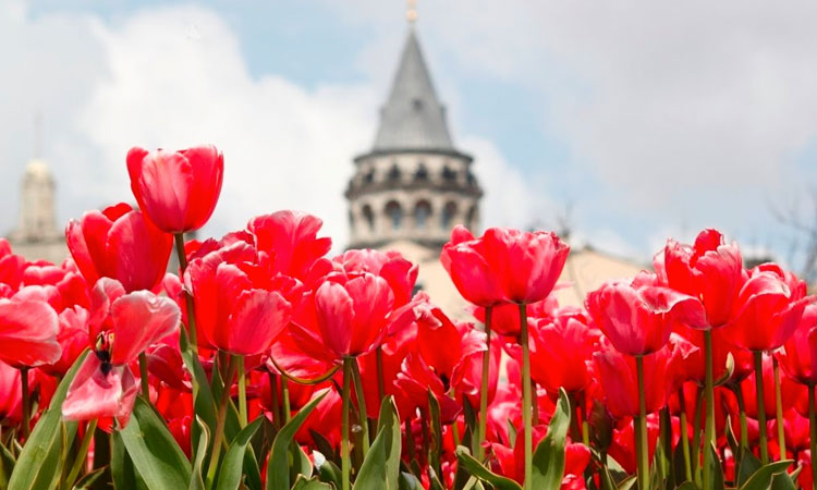 Le festival de la tulipe Istanbul
