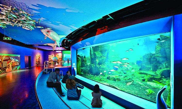 L'aquarium d'Istanbul