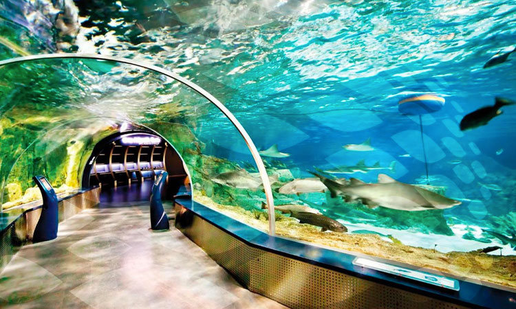 L'Aquarium d'Istanbul