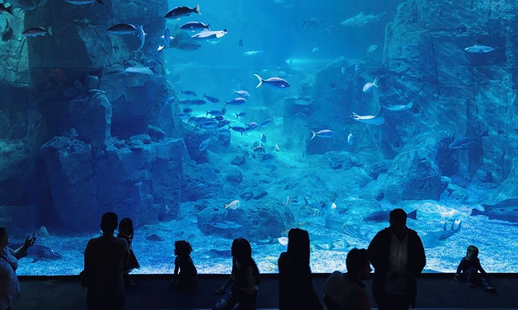 L’Aquarium d’Istanbul